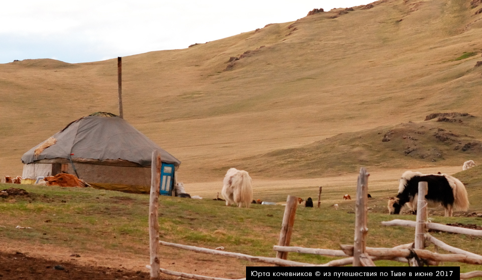 Юрта в Тыве, Siberian Expeditions
