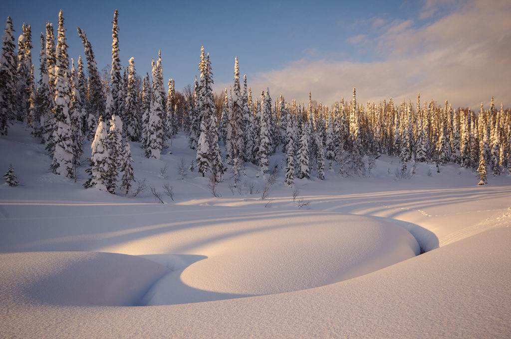 Поднебесные Зубья, самый красивый зимний лес в мире