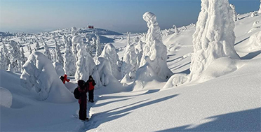 Снежные скульптуры сопки Волосяная